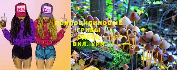 spice Абинск
