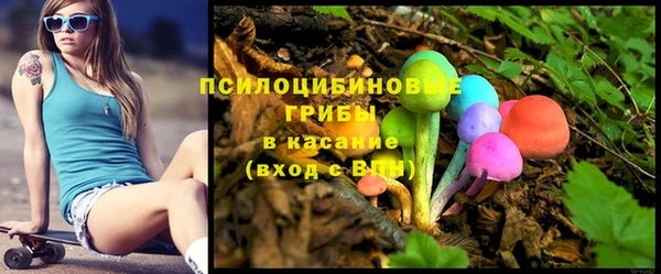 spice Абинск