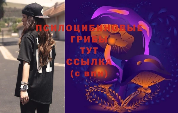 spice Абинск