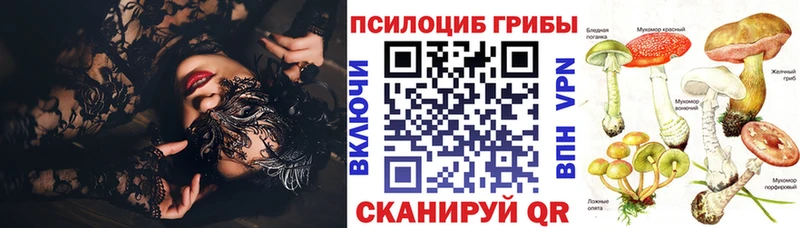 Псилоцибиновые грибы MAGIC MUSHROOMS купить закладку Пудож
